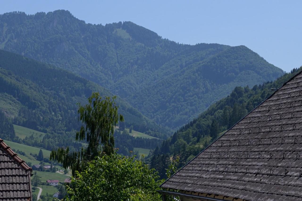 Landgasthof Kirchenwirt Grossraming Exterior foto